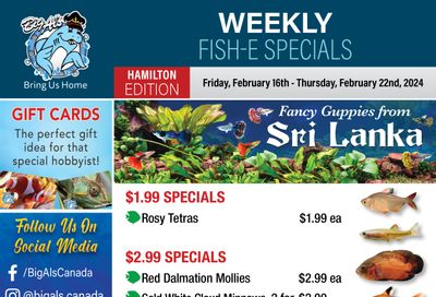Big Al's (Hamilton) Weekly Specials February 16 to 22