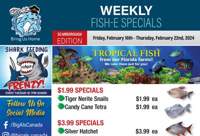 Big Al's (Scarborough) Weekly Specials February 16 to 22