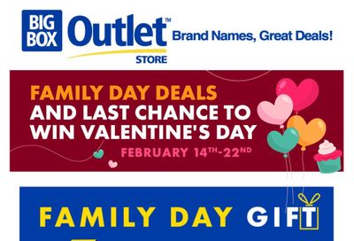 Big Box Outlet Store Flyer February 14 to 22