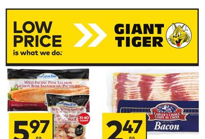 Giant Tiger (ON) Flyer February 21 to 27