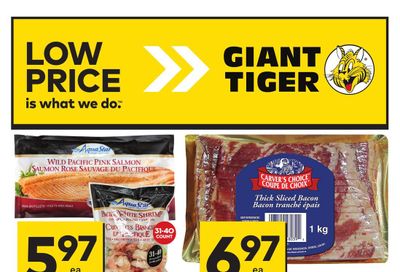 Giant Tiger (West) Flyer February 21 to 27