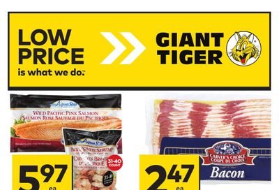 Giant Tiger (Atlantic) Flyer February 21 to 27
