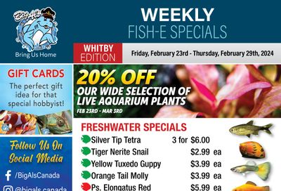 Big Al's (Whitby) Weekly Specials February 23 to 29