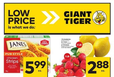 Giant Tiger (Atlantic) Flyer February 28 to March 5