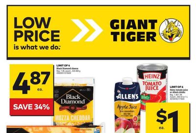 Giant Tiger (Atlantic) Flyer March 13 to 19