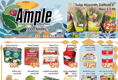 Ample Food Market (Brampton) Flyer March 15 to 21