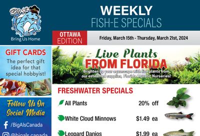 Big Al's (Ottawa) Weekly Specials March 15 to 21