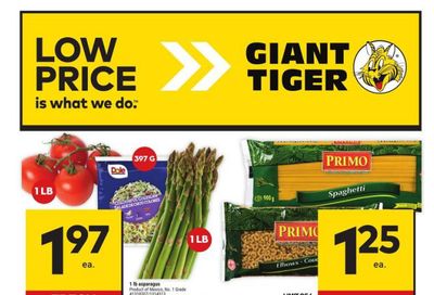 Giant Tiger (Atlantic) Flyer March 20 to 26