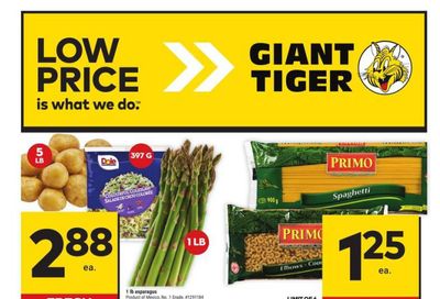 Giant Tiger (West) Flyer March 20 to 26