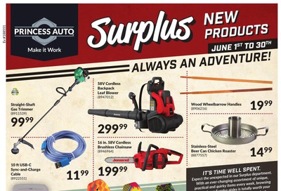 Princess Auto New Surplus Items Flyer June 1 to 30
