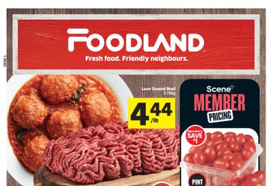 Foodland (ON) Flyer April 11 to 17