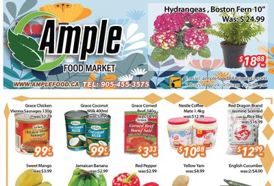 Ample Food Market (Brampton) Flyer April 12 to 18