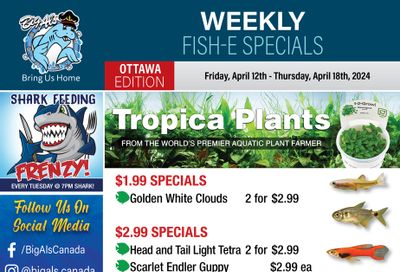 Big Al's (Ottawa) Weekly Specials April 12 to 18