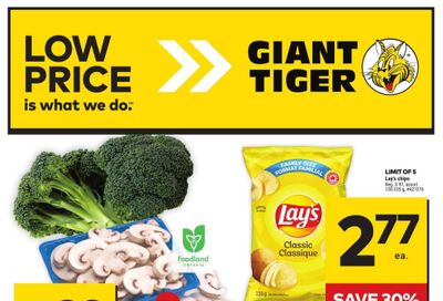 Giant Tiger (ON) Flyer April 17 to 23