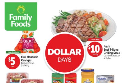 Family Foods Flyer April 18 to 24