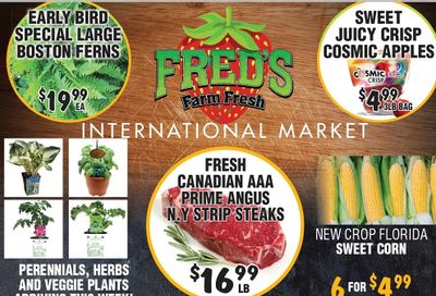 Fred's Farm Fresh Flyer April 17 to 23