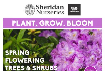 Sheridan Nurseries Flyer April 25 to May 8