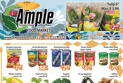 Ample Food Market (Brampton) Flyer April 26 to May 2