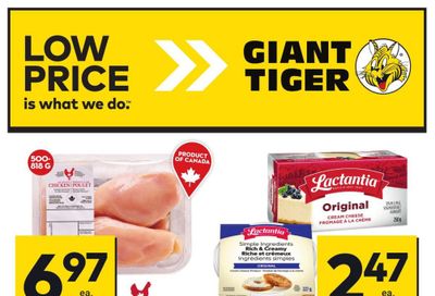 Giant Tiger (Atlantic) Flyer May 8 to 14