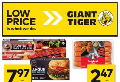 Giant Tiger (ON) Flyer May 15 to 21