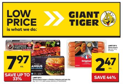 Giant Tiger (Atlantic) Flyer May 15 to 21