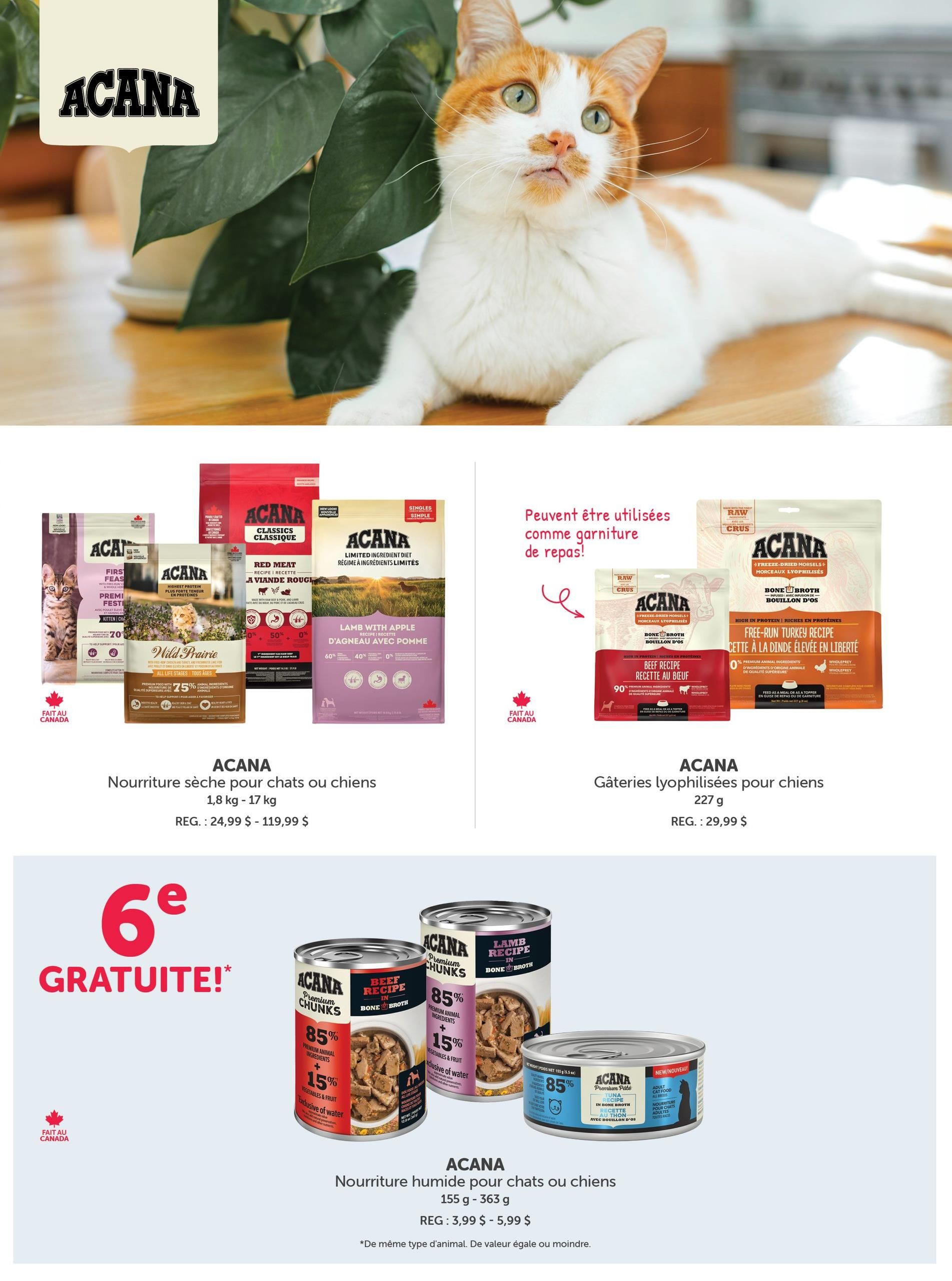 Mondou Flyer May 16 to 29