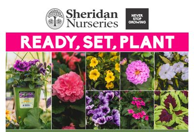 Sheridan Nurseries Flyer May 16 to June 5