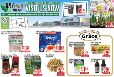 Skyland Food Mart Flyer May 17 to 23