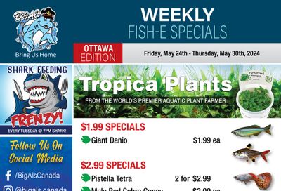 Big Al's (Ottawa) Weekly Specials May 24 to 30