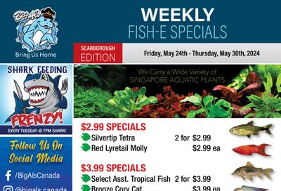 Big Al's (Scarborough) Weekly Specials May 24 to 30