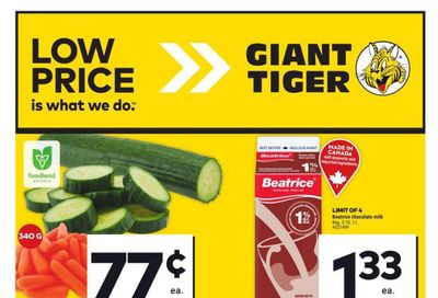 Giant Tiger (ON) Flyer May 29 to June 4