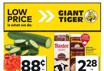 Giant Tiger (Atlantic) Flyer May 29 to June 4