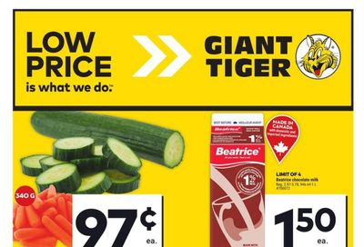 Giant Tiger (West) Flyer May 29 to June 4