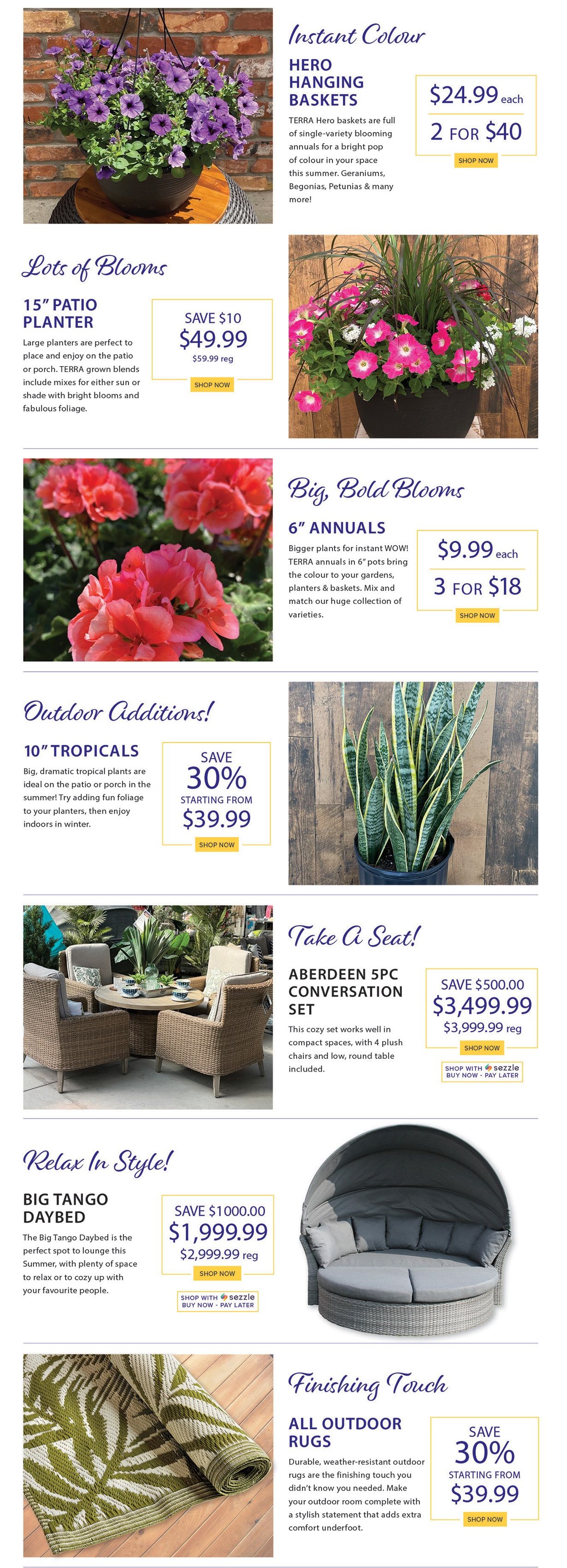 Terra Greenhouses Flyer May 31 to June 6