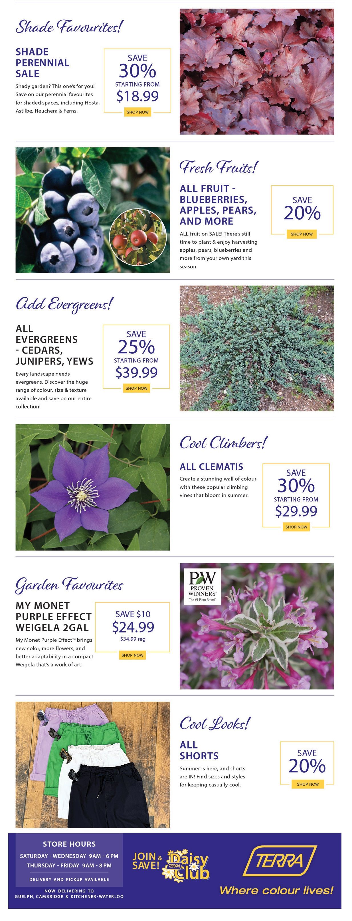 Terra Greenhouses Flyer May 31 to June 6