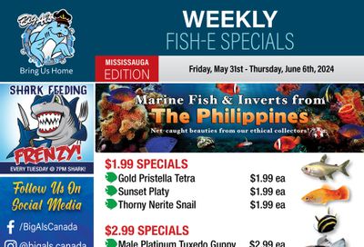 Big Al's (Mississauga) Weekly Specials May 31 to June 6