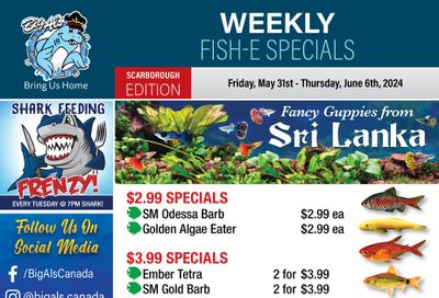 Big Al's (Scarborough) Weekly Specials May 31 to June 6