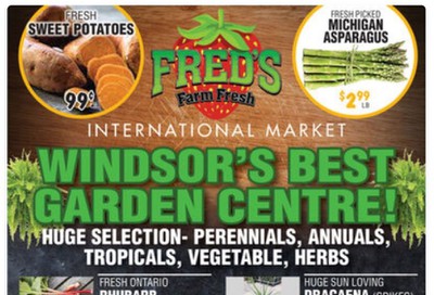 Fred's Farm Fresh Flyer June 3 to 9
