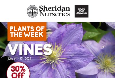 Sheridan Nurseries Flyer June 6 to 12