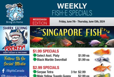 Big Al's (Mississauga) Weekly Specials June 7 to 13