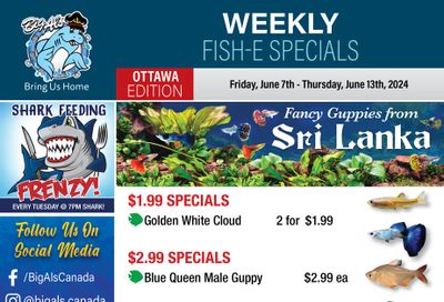 Big Al's (Ottawa) Weekly Specials June 7 to 13