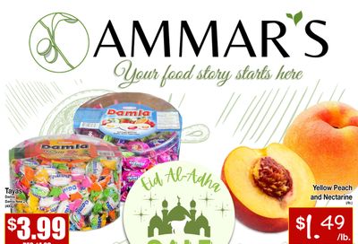 Ammar's Halal Meats Flyer June 13 to 19