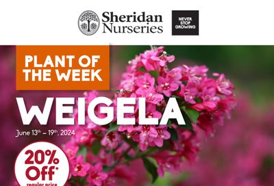 Sheridan Nurseries Flyer June 13 to 19