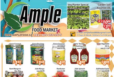 Ample Food Market (Brampton) Flyer June 14 to 20