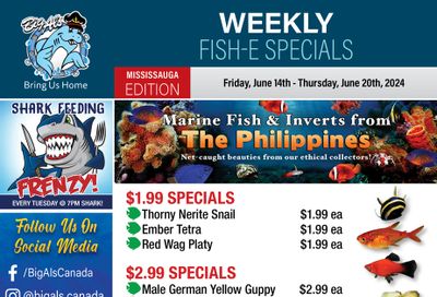 Big Al's (Mississauga) Weekly Specials June 14 to 20