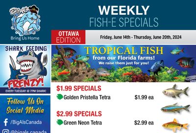 Big Al's (Ottawa) Weekly Specials June 14 to 20