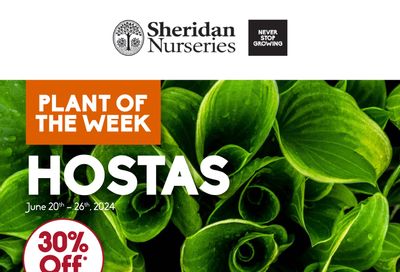 Sheridan Nurseries Flyer June 20 to 26