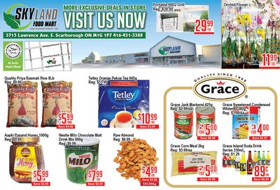 Skyland Food Mart Flyer June 21 to 27