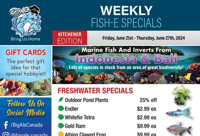 Big Al's (Kitchener) Weekly Specials June 21 to 27