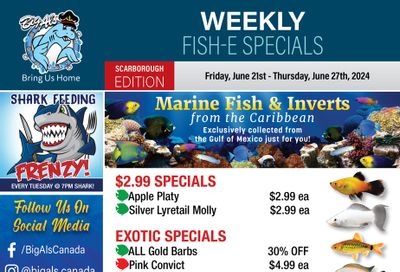 Big Al's (Scarborough) Weekly Specials June 21 to 27